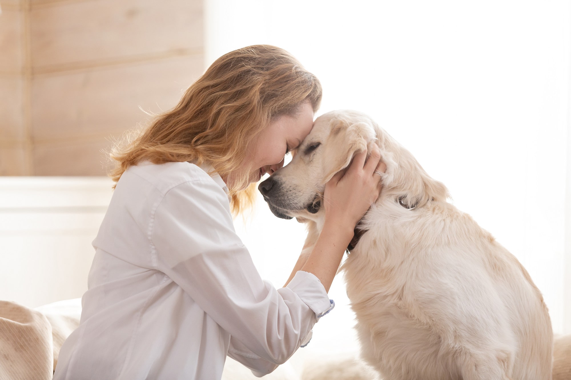 Support Animals vs. Pets: What Landlords Should Know
